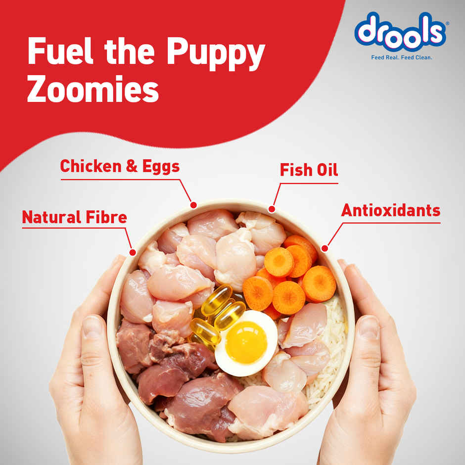 Drools Chicken and Egg Puppy Dry Dog Food Inside Container 5Kg