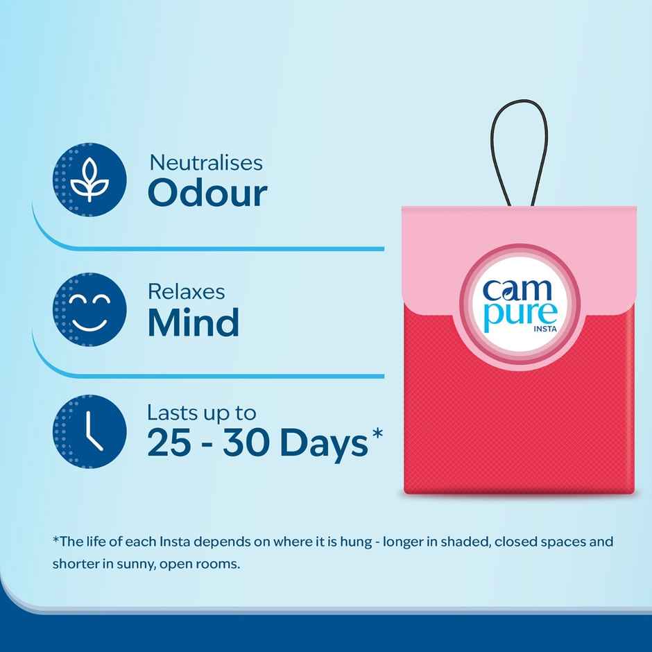 Campure Rose Insta Cone Camphor Air, Car, Room Freshener
