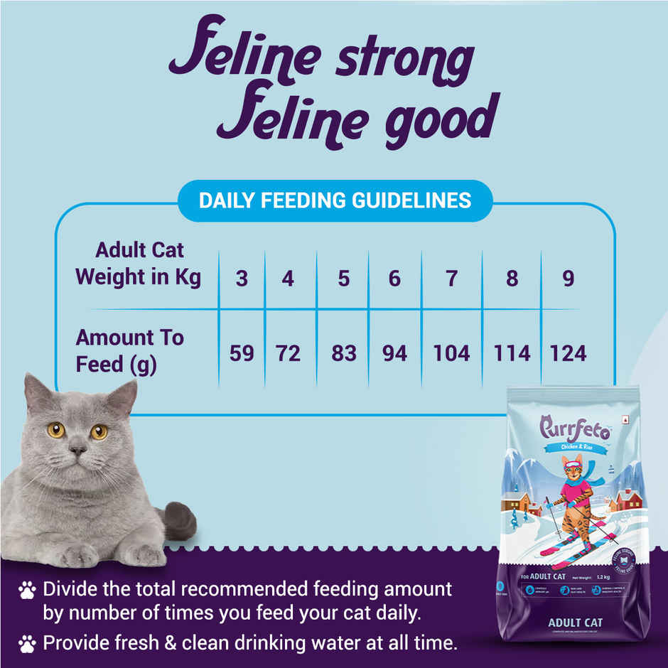 Purrfeto Dry Cat Food Chicken & Rice | Adult