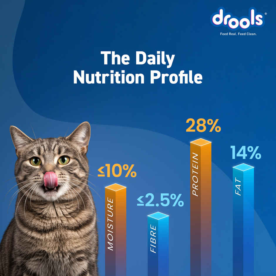 Drools Tuna & Salmon Adult Dry Cat Food