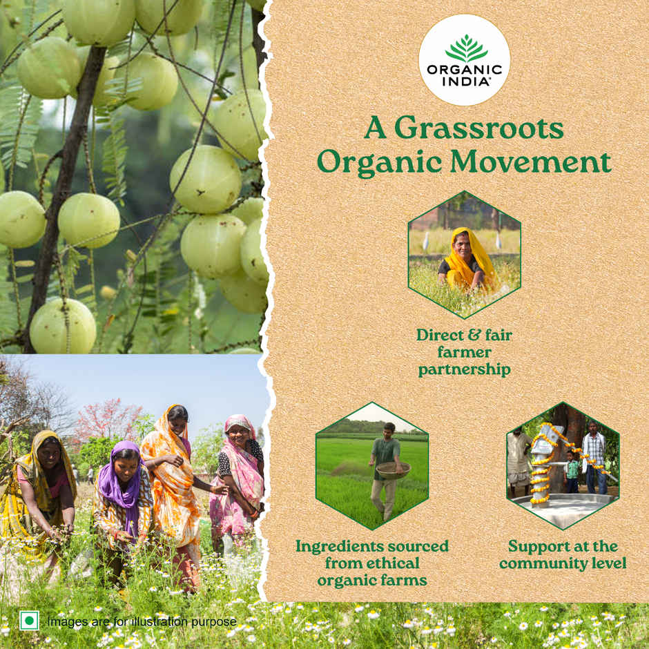 A TATA Product - Organic India Tulsi Green Tea, Sweet Lemon Tea 25 Tea Bags