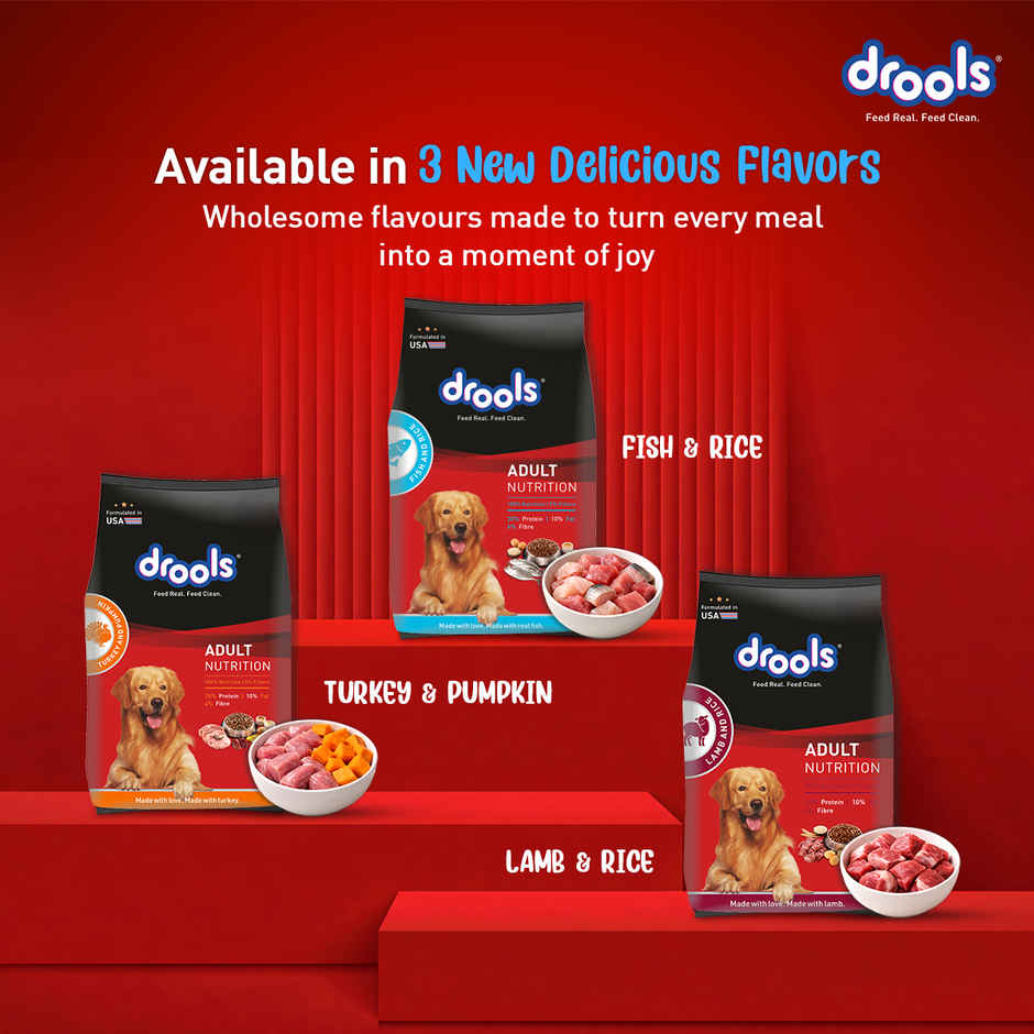 Drools Fish and Rice Adult Dry Dog Food 2.8 kg with Free 1 kg
