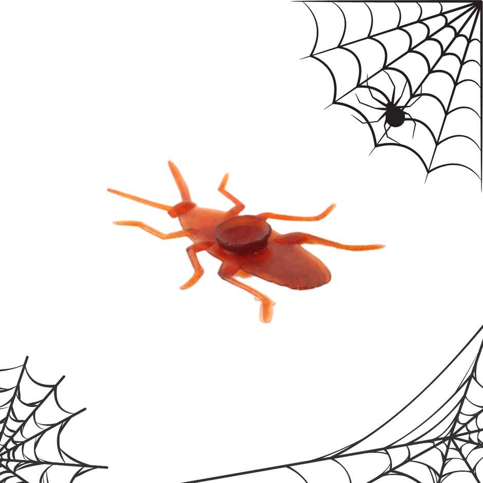 Fake Cockroach | Pack Of 10 | Halloween Special | Festvista