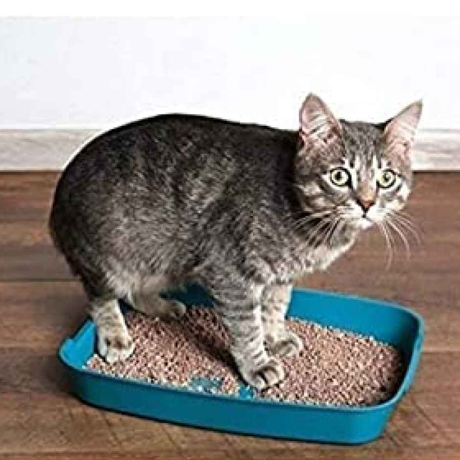 Super Pet Best Cat Litter