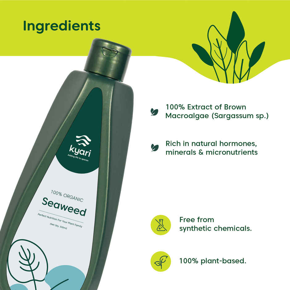Kyari Seaweed Oil for Plants