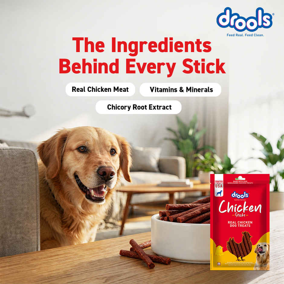 Drools Real Chicken Flavor Dog Treats Sticks