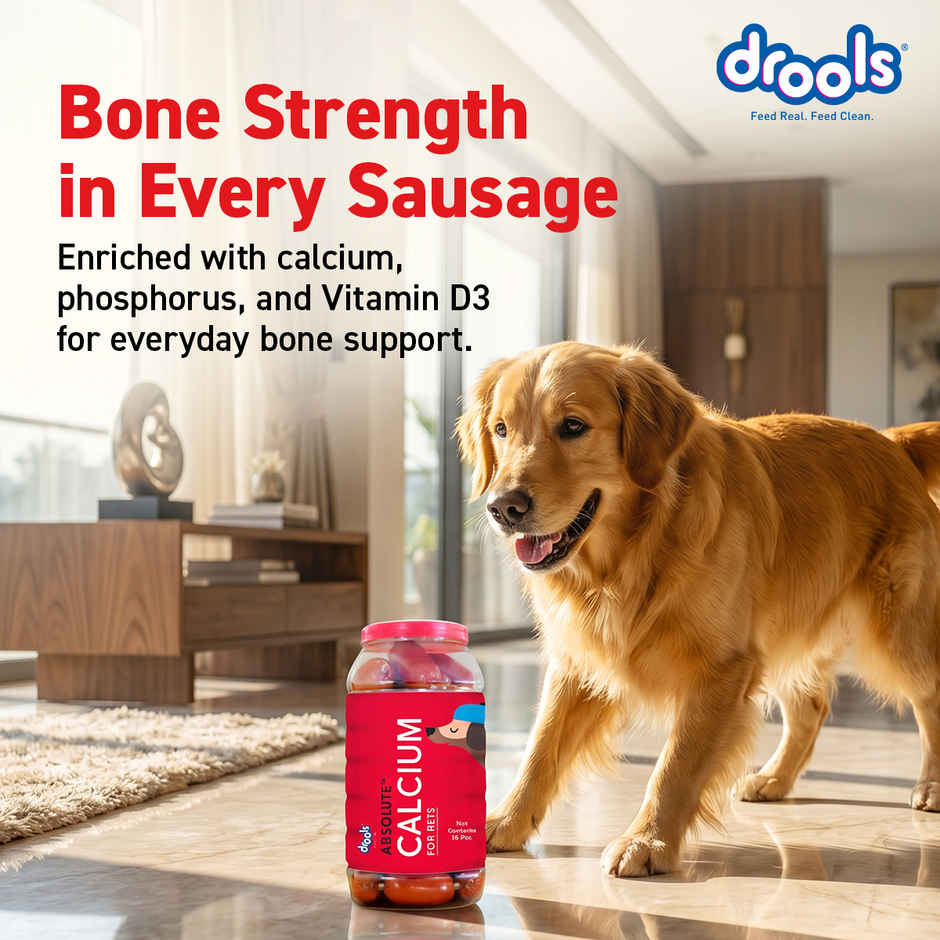 Drools Absolute Calcium Sausage Dog Supplement - Jar