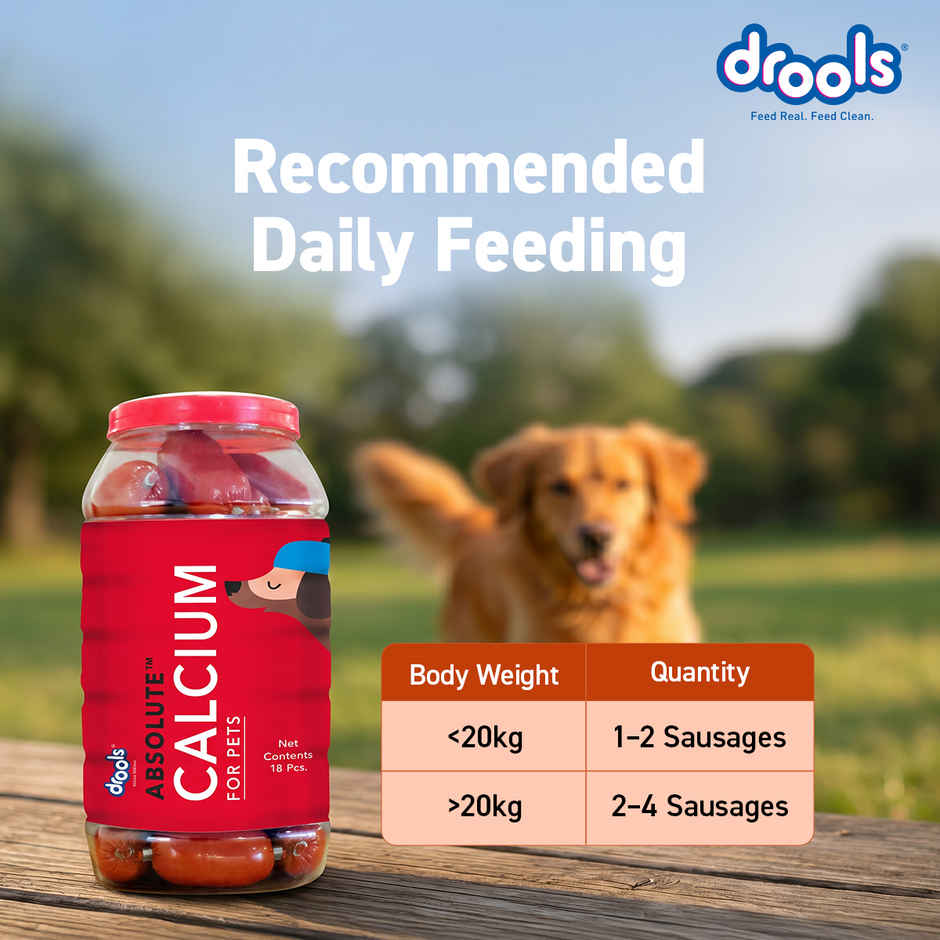 Drools Absolute Calcium Sausage Dog Supplement - Jar