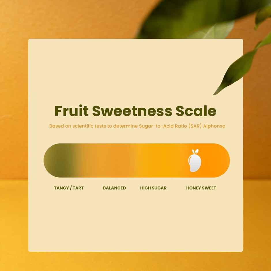 Mango Alphonso (Ratnagiri)