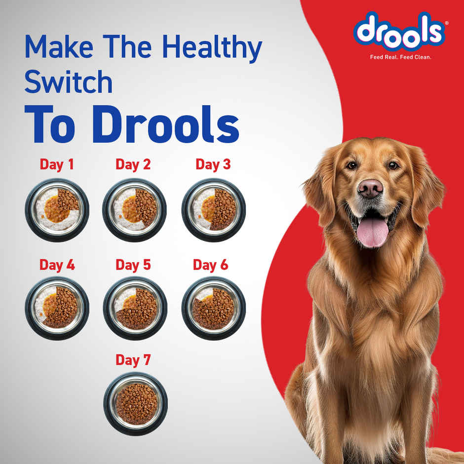 Drools Chicken and Egg Adult Dog Food, 3kg with Free 1.2kg 4.2Kg