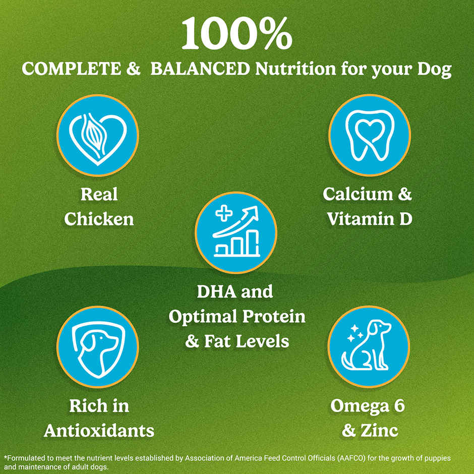 Purina Friskies Chicken Puppy Dog Dry Food
