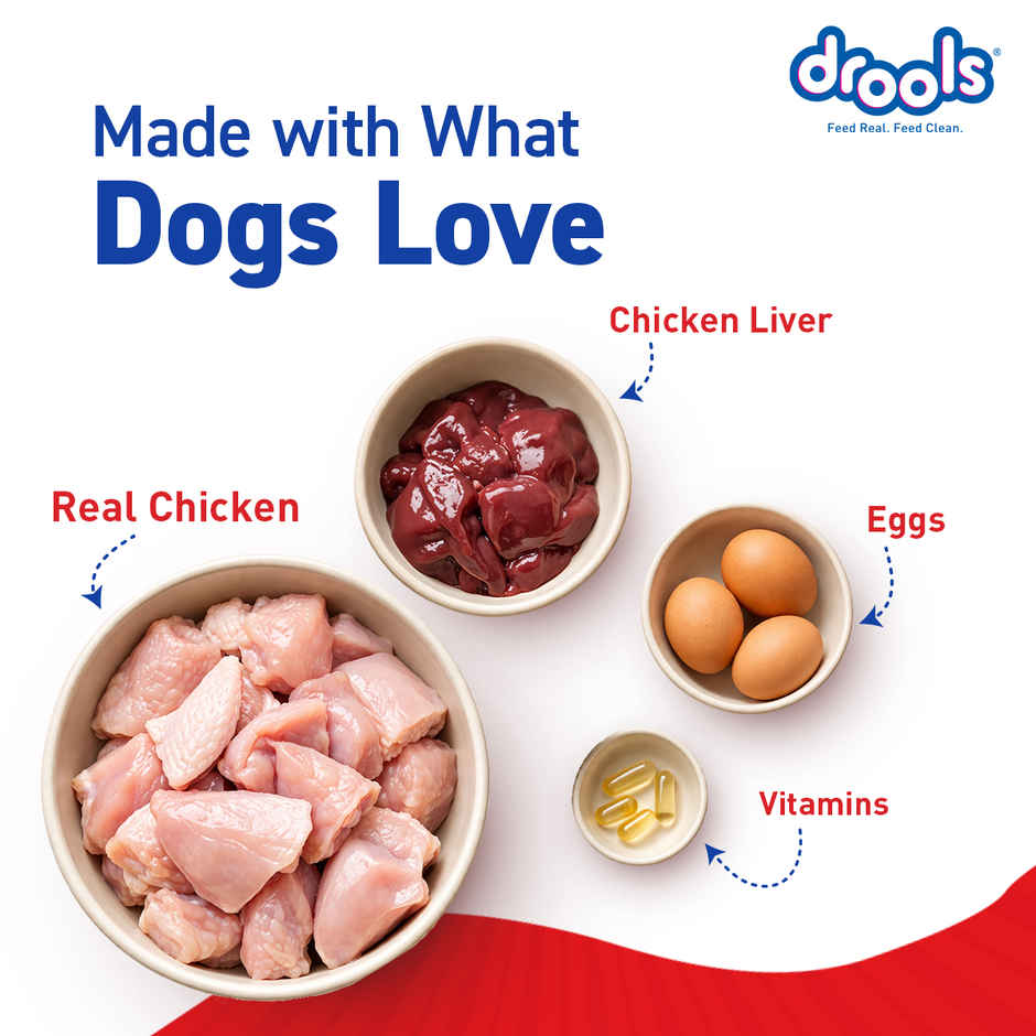 Drools Adult Wet Dog Food Chicken And Chicken Liver Chunks In Gravy (10 + 2 Pouches Free)