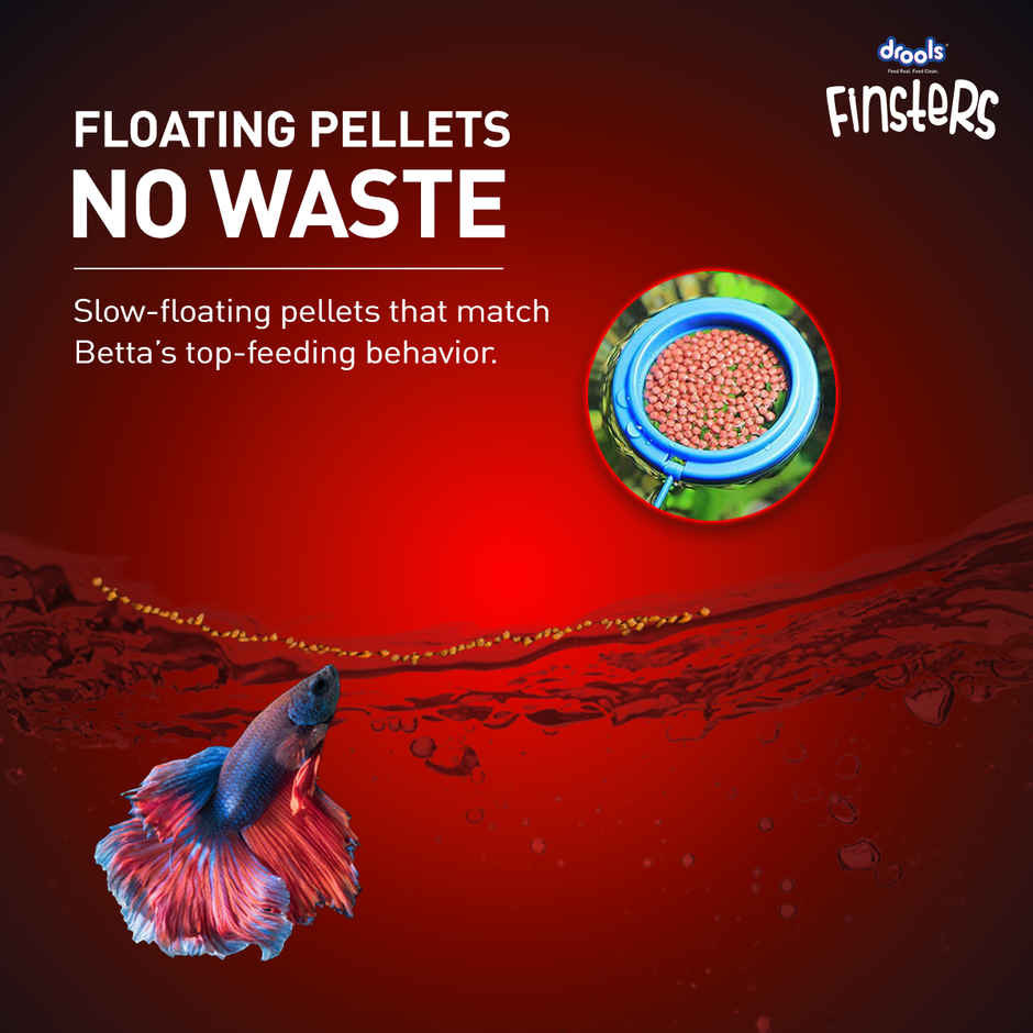 Drools FinstersBetta FishFood