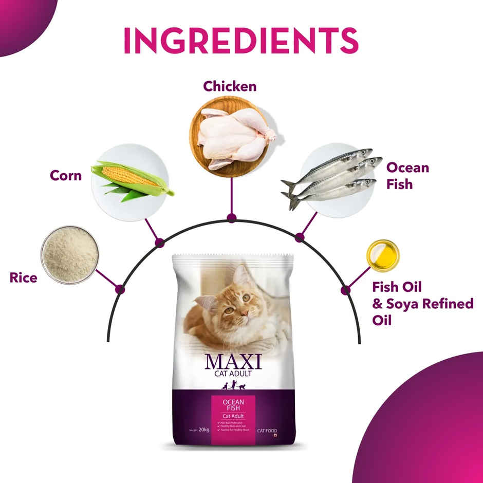 Maxi Ocean Fish Adult Dry Cat FOOD