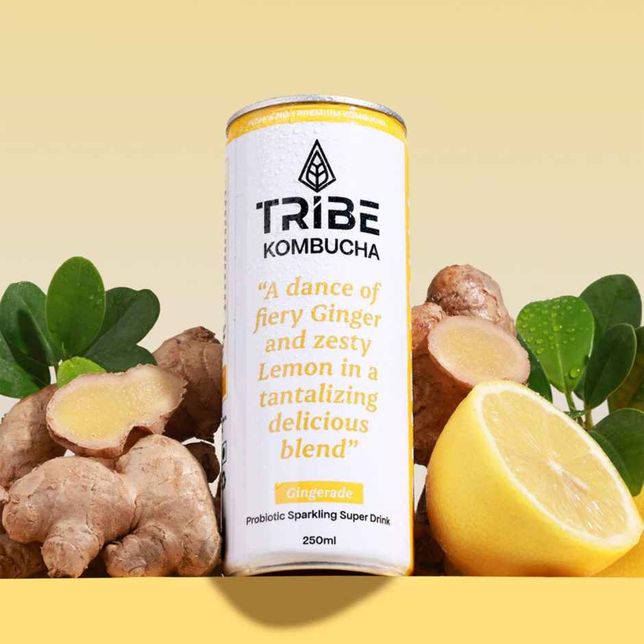 Tribe Naturally Sparkling Probiotic Green Tea With Herbs & Spices Kombucha (250ml) & Tribe Naturally Sparkling Probiotic Green Tea With Ginger & Lemon Kombucha (250ml) Combo
