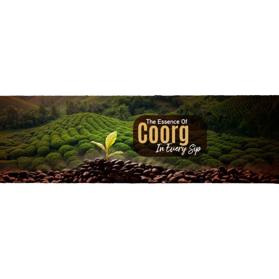 Levista Chicory Medium Roast Filter Coffee Combo