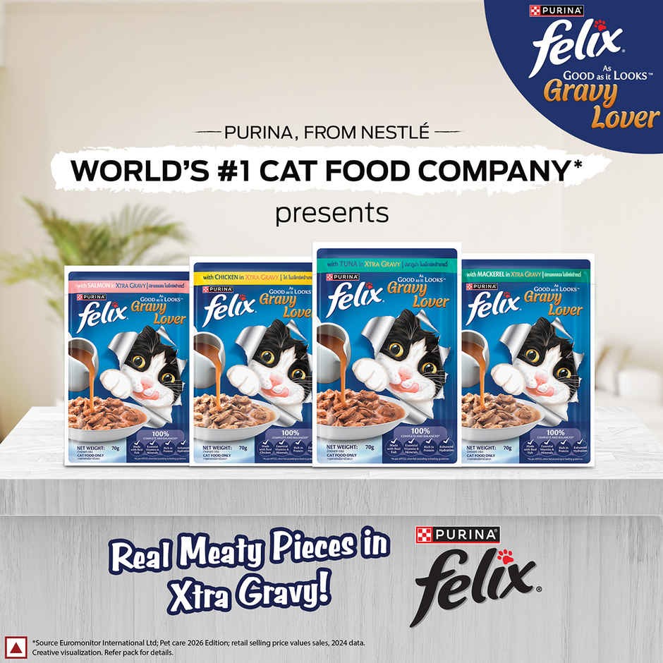 Purina Felix Gravy Lover, Meaty Mackerel Chunks