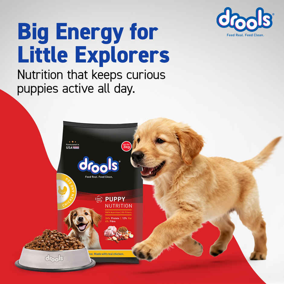 Drools Chicken and Egg Puppy Dry Dog Food Inside Container 5Kg
