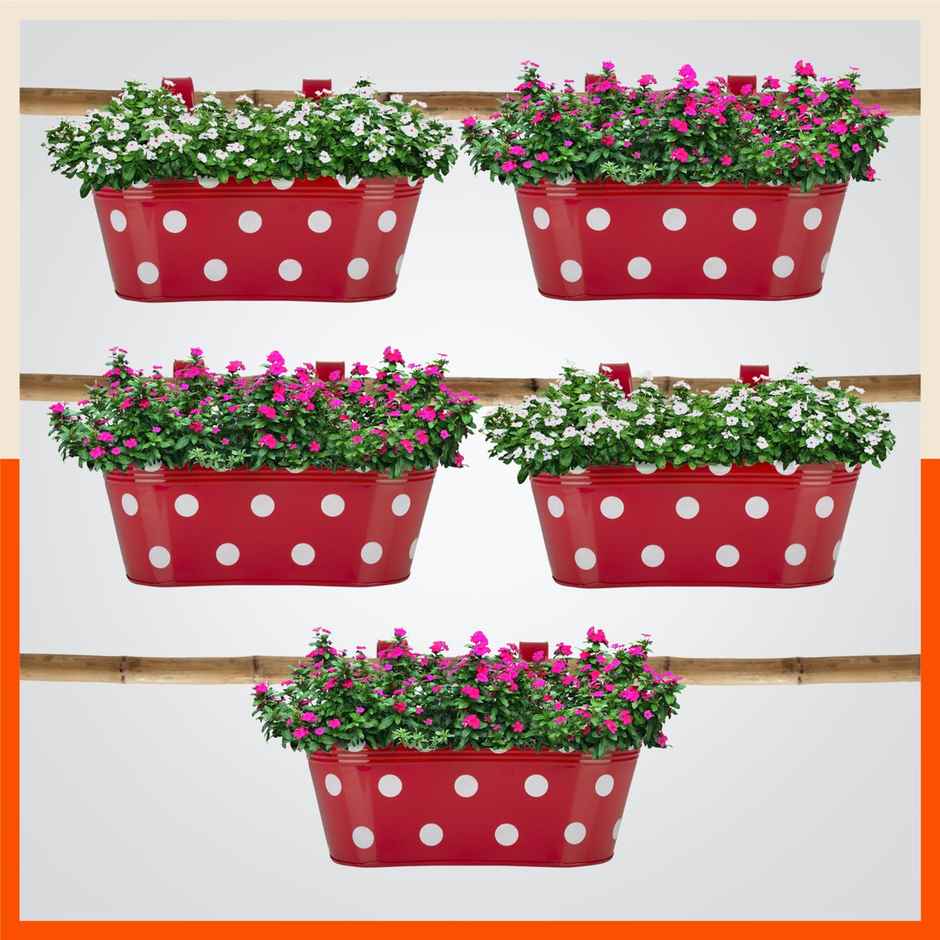 Bathla Hanging Metal Pots Holders Set of 5 - ARA | Detachable Double Hooks | Red