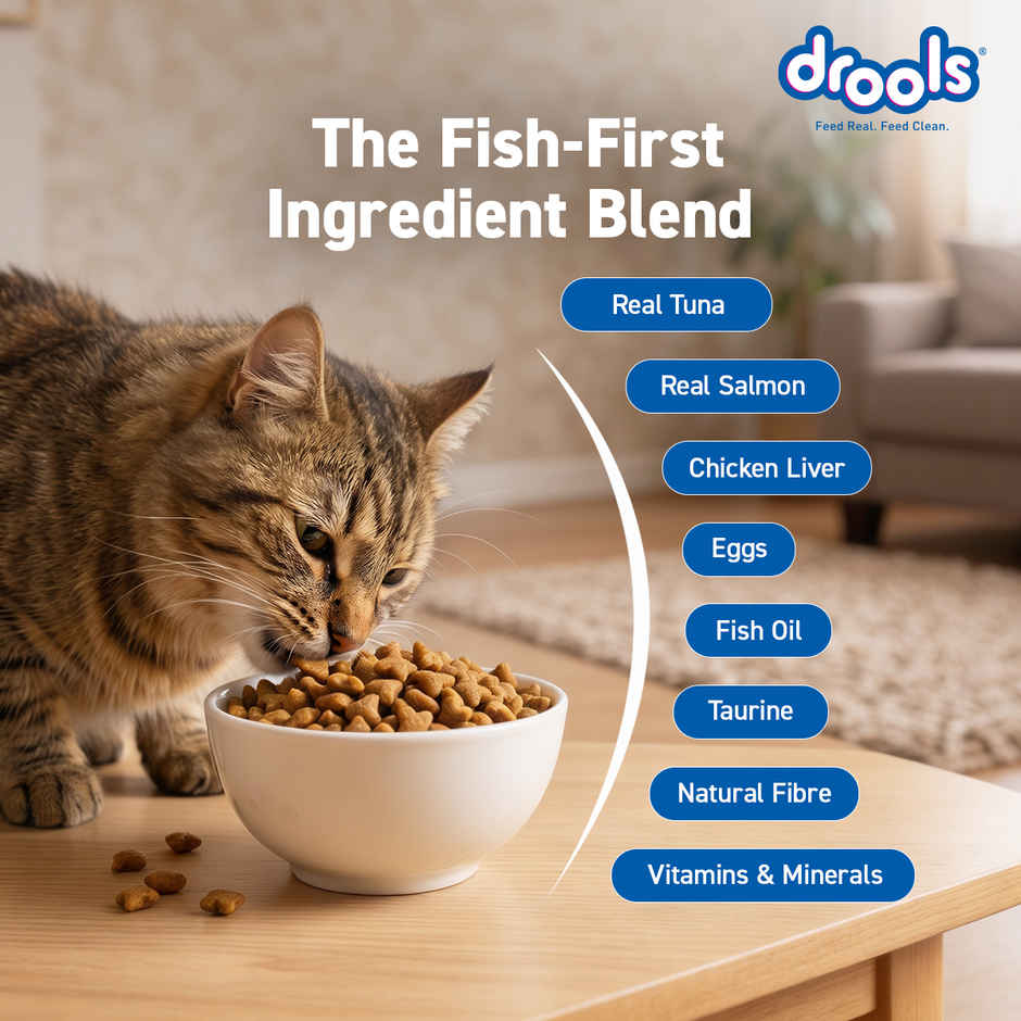 Drools Tuna & Salmon Adult Dry Cat Food