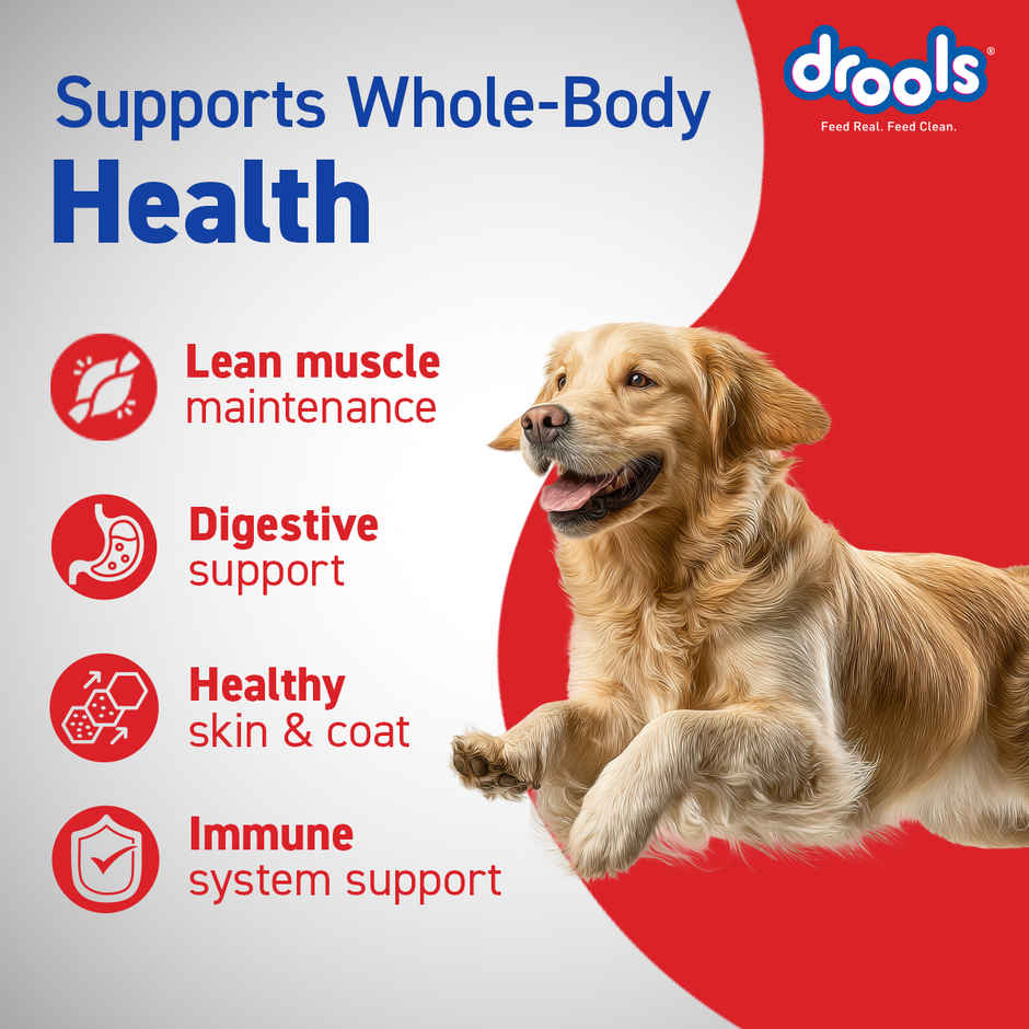 Drools Chicken and Egg Adult Dry Dog Food Inside Container 5kg