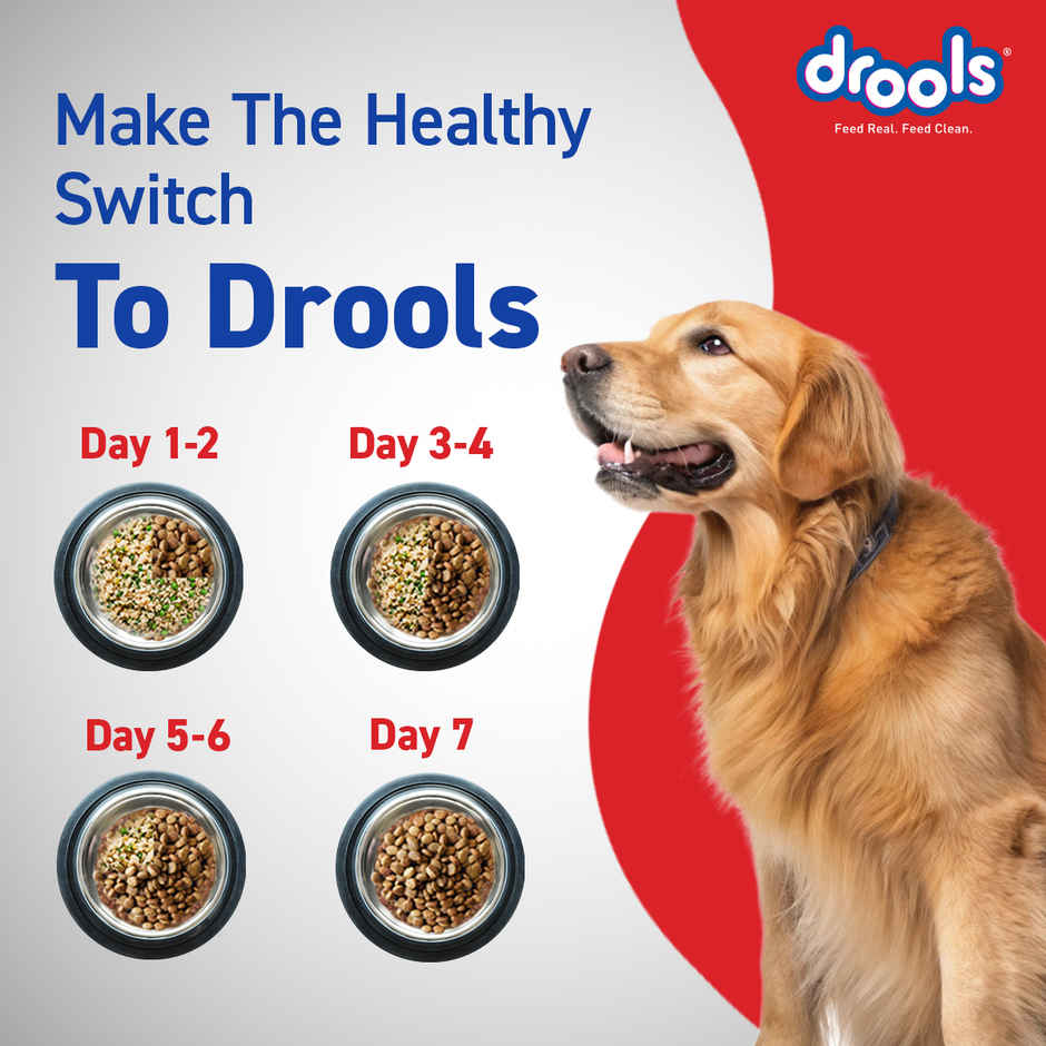 Drools Optimum Performance Adult Dog Food
