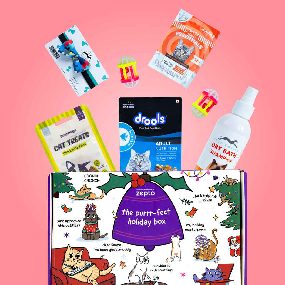 New Year Holiday Gift Box for Cats | Food | Treats | Toys and More