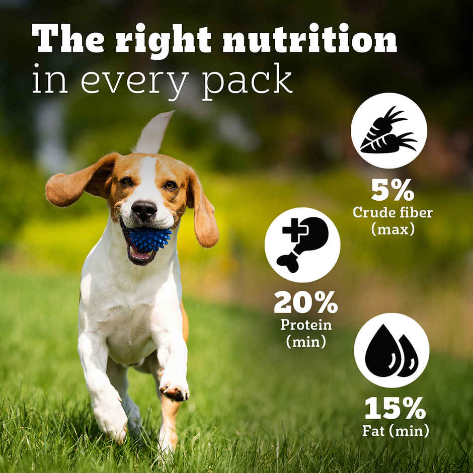 Pedigree PRO Adult Small Breed (9 Months+) Dog Food