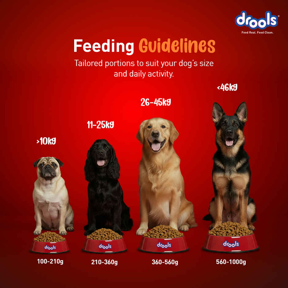 Drools Turkey and Pumpkin Adult Dry Dog Food 2.8 kg with Free 1 kg