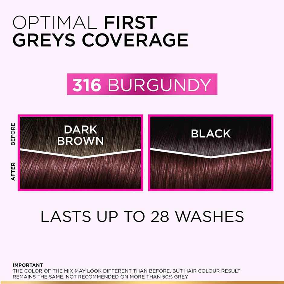 L'Oreal Paris Semi-Permanent Hair Colour | Ammonia-Free Formula & Honey-Infused | Plum/Burgundy 316