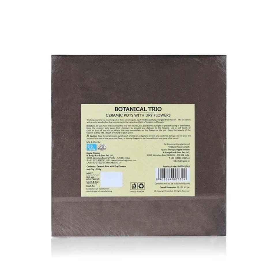 IRIS Botanical Trio Ceramic Vase With Dry Flowers Potpourri Decor