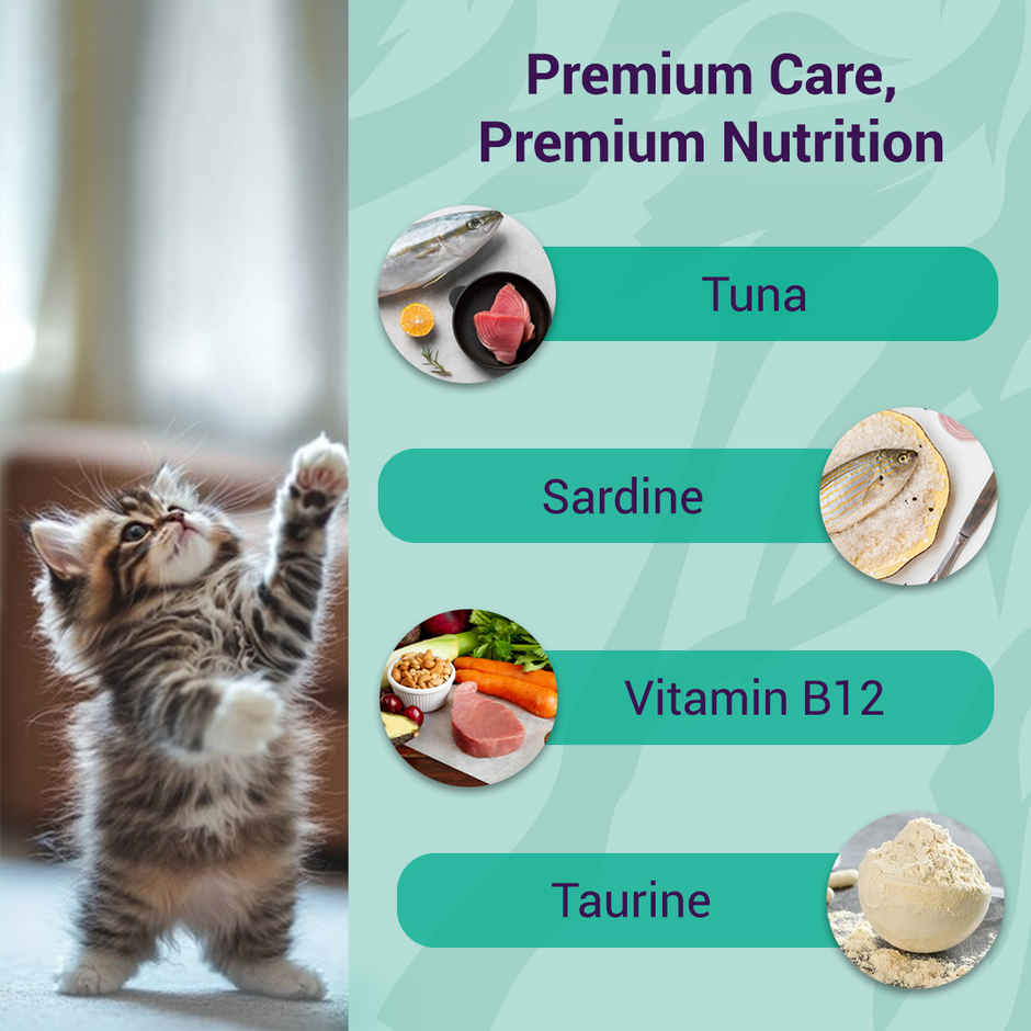 Purfetto Wet Cat food Oceanfish recipe in Jelly | Kittens