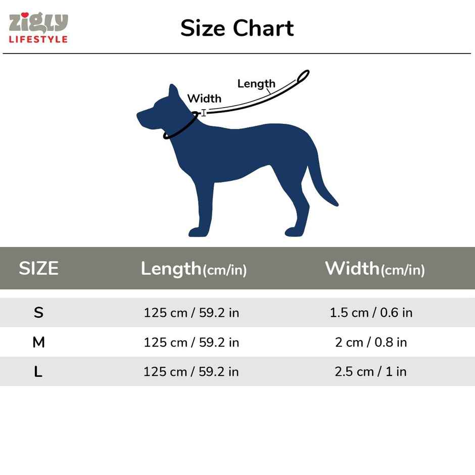 Zigly Padded Dog Leash | Suitable for Puppy & Adult Dogs | All Breeds | Black - M