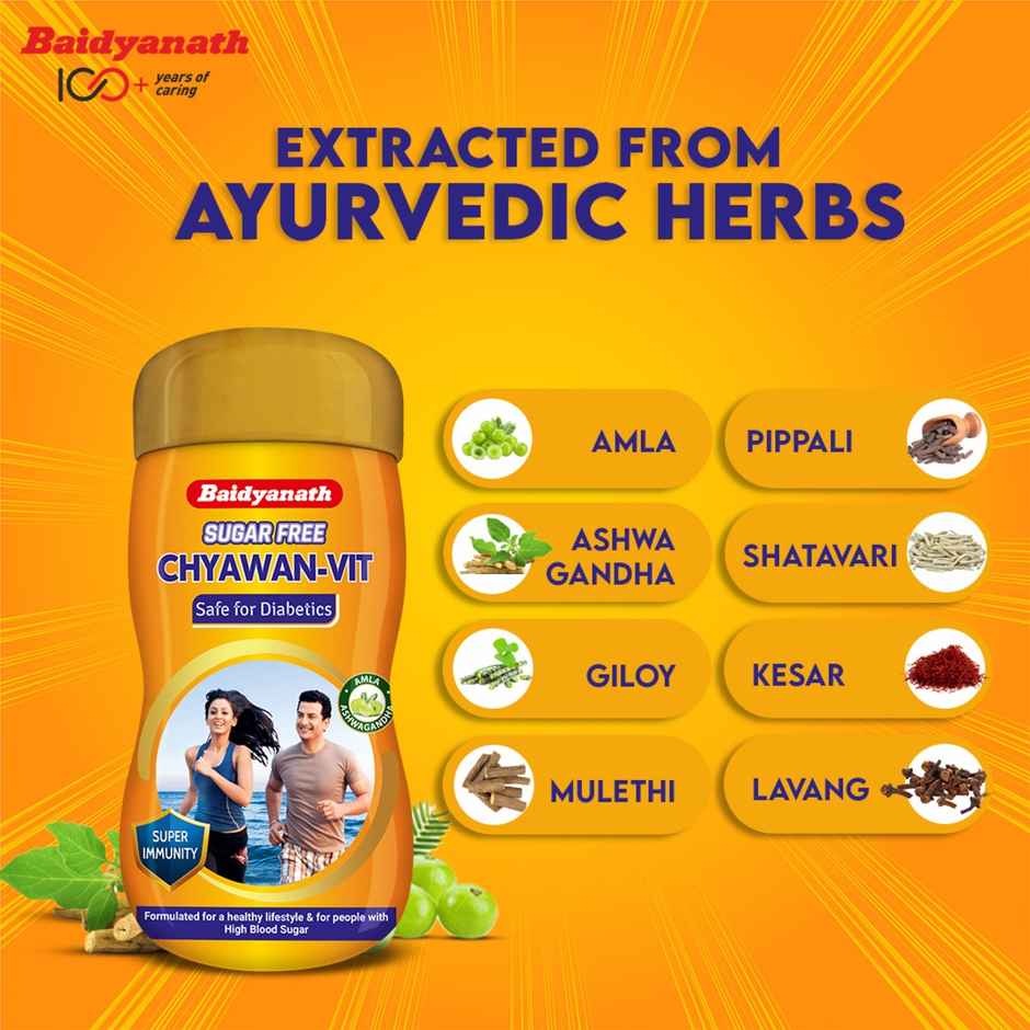 Baidyanath Sugarfree Chyawan Vit