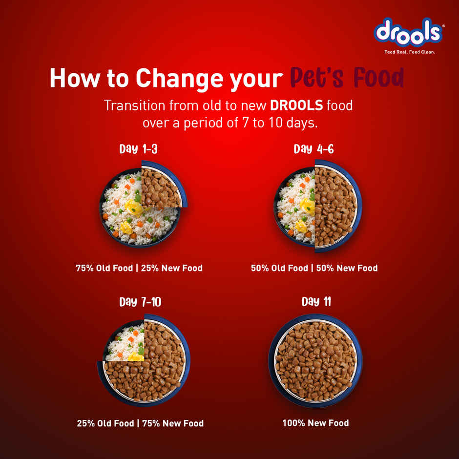 Drools Lamb and Rice Adult Dry Dog Food 1 kg