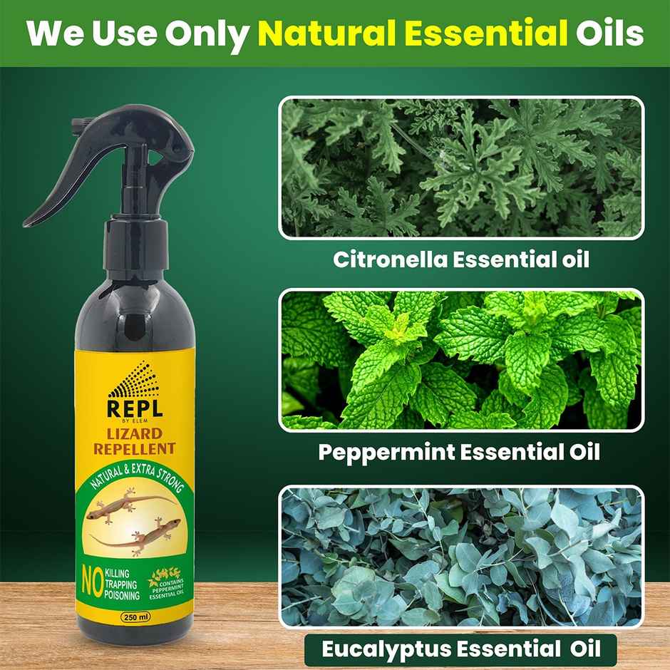 Repl Lizard Repellent Spray | Peppermint and Eucalyptus Oils | Natural and Safe For Kids
