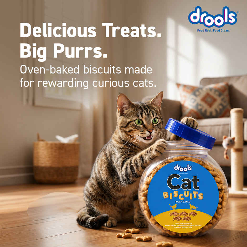 Drools Real Chicken Cat Biscuit Treats Jar