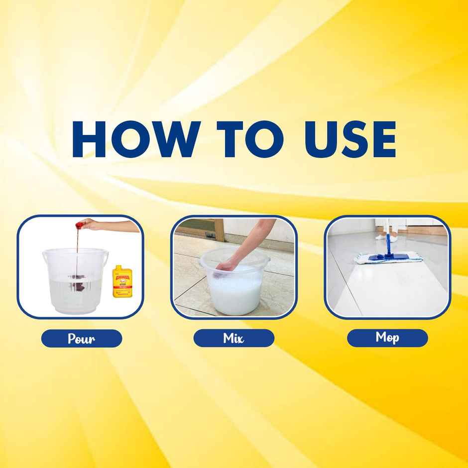 Gainda Black Disinfectant Phenyle Floor Cleaner