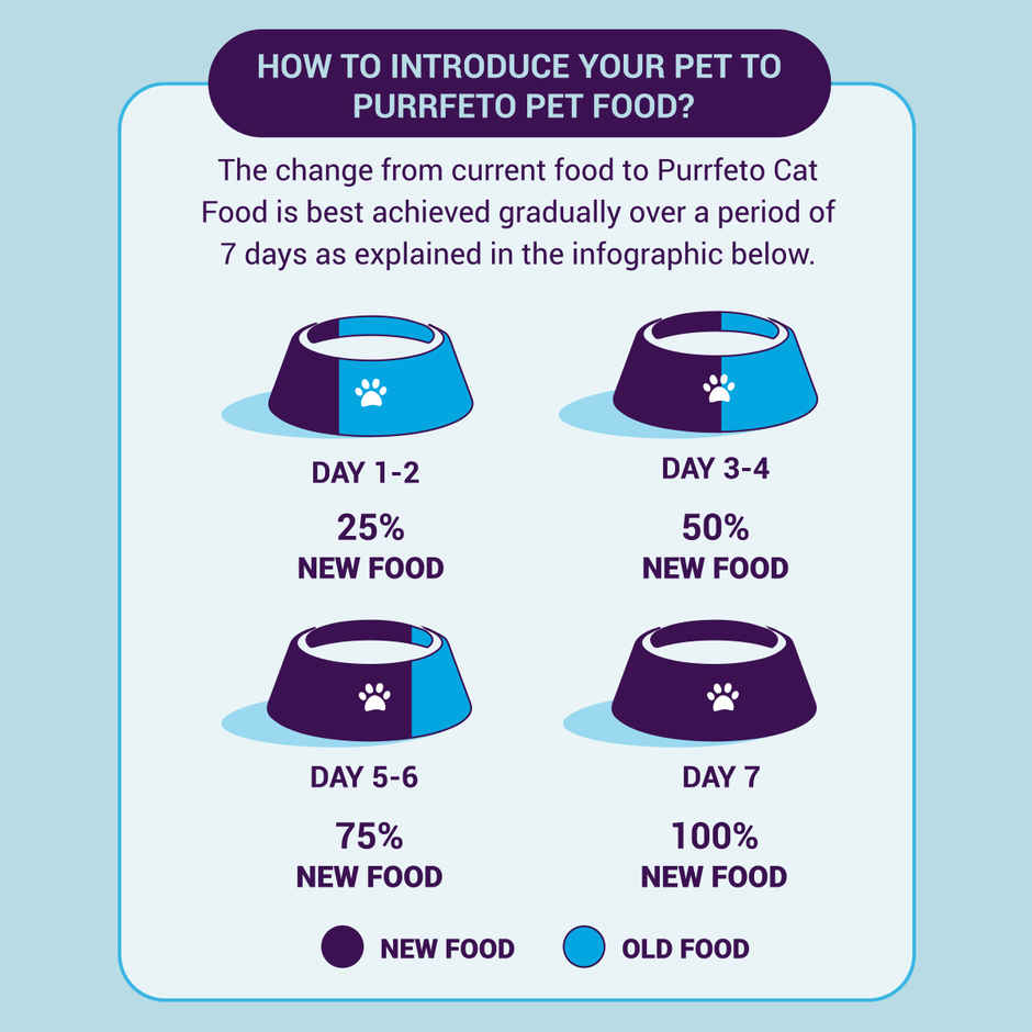 Purrfeto Dry Cat Food Chicken & Rice | Adult