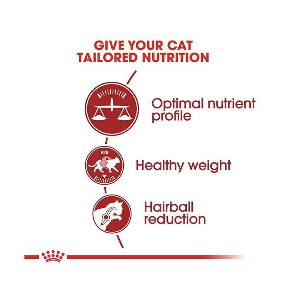 Royal Canin Fit 32 Regular Adult Cat Dry Food 400g