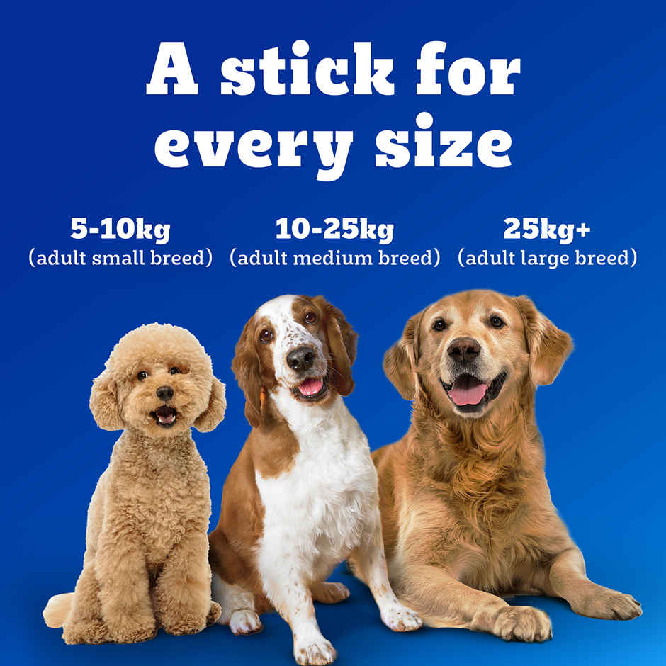 Pedigree Dentastix Adult Large Breed 25 Kg+ | Oral Care Dog Treat
