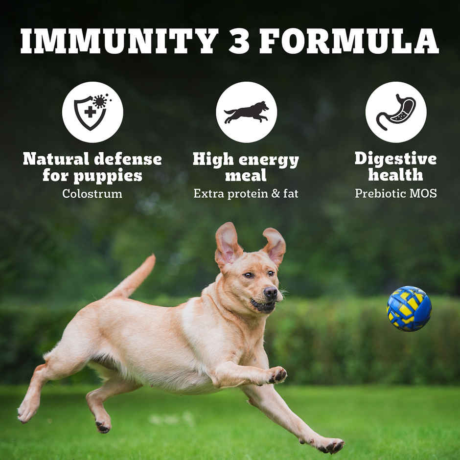 Pedigree PRO Mother & Pup Large Breed (3-12 Weeks) Dog Food