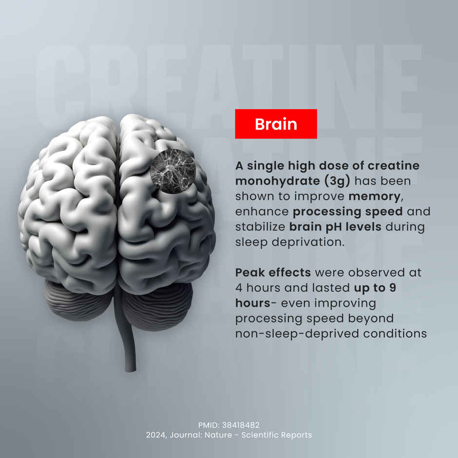 Big Muscles Nutrition Creatine | Sex On The Beach| Pure Creatine Monohydrate