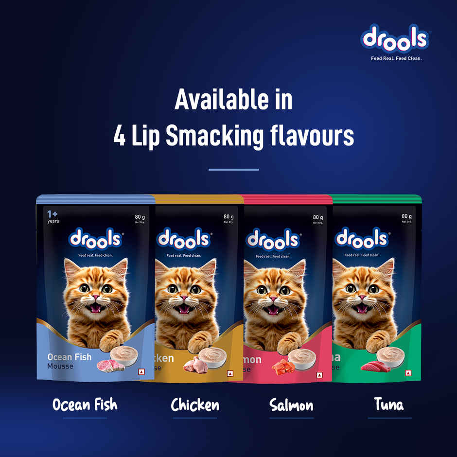 Drools Ocean Fish Mousse Kitten Wet Food