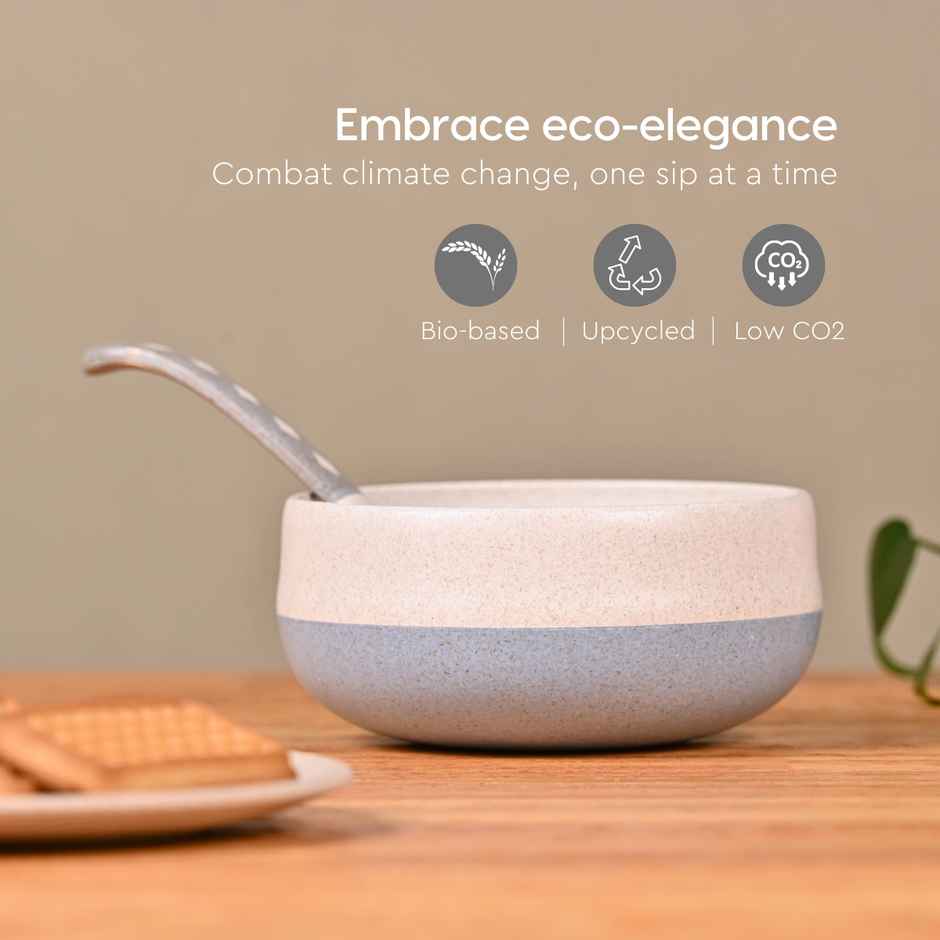 Eha Soup Bowls & Spoons | 250 ml | Set Of 6 - Multi Color