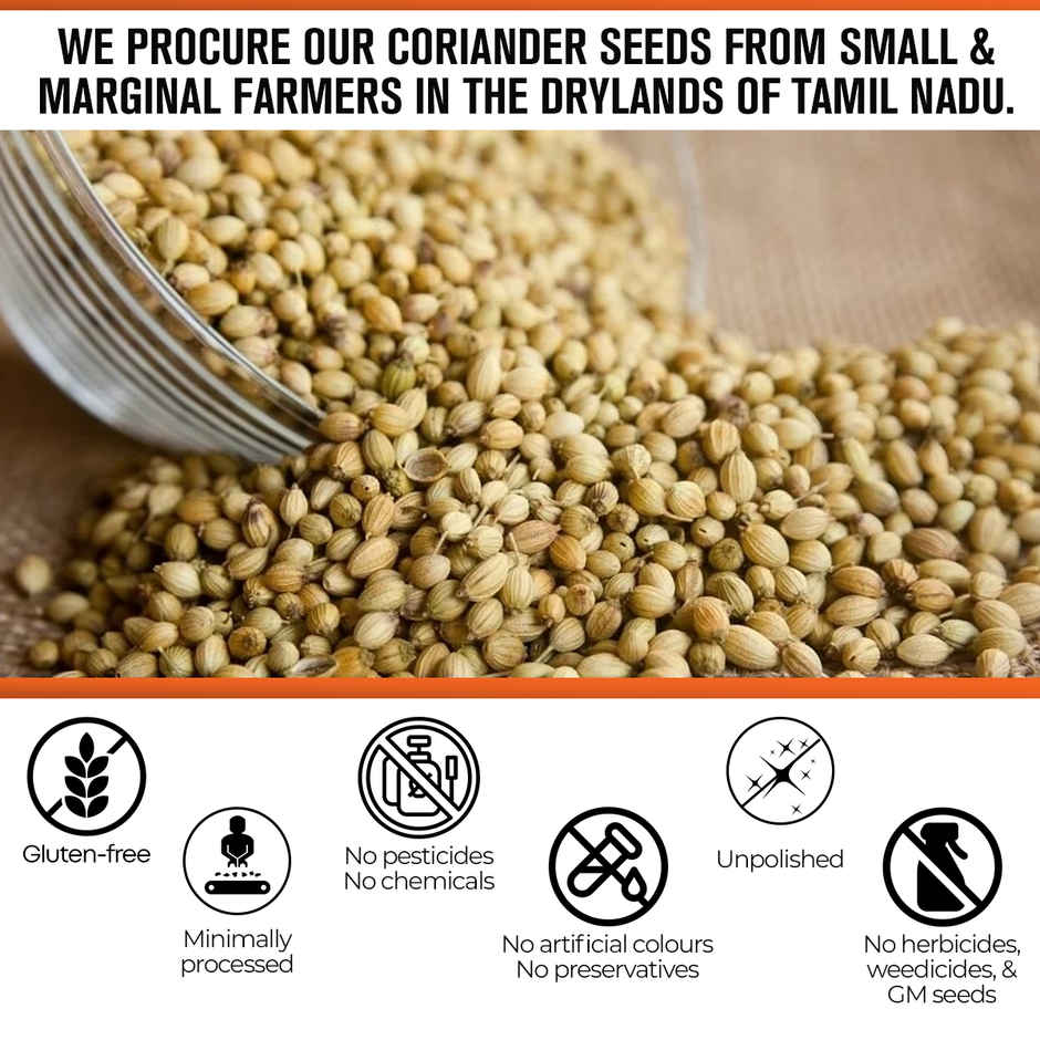 Safe Harvest Pesticide-Free Coriander Seeds