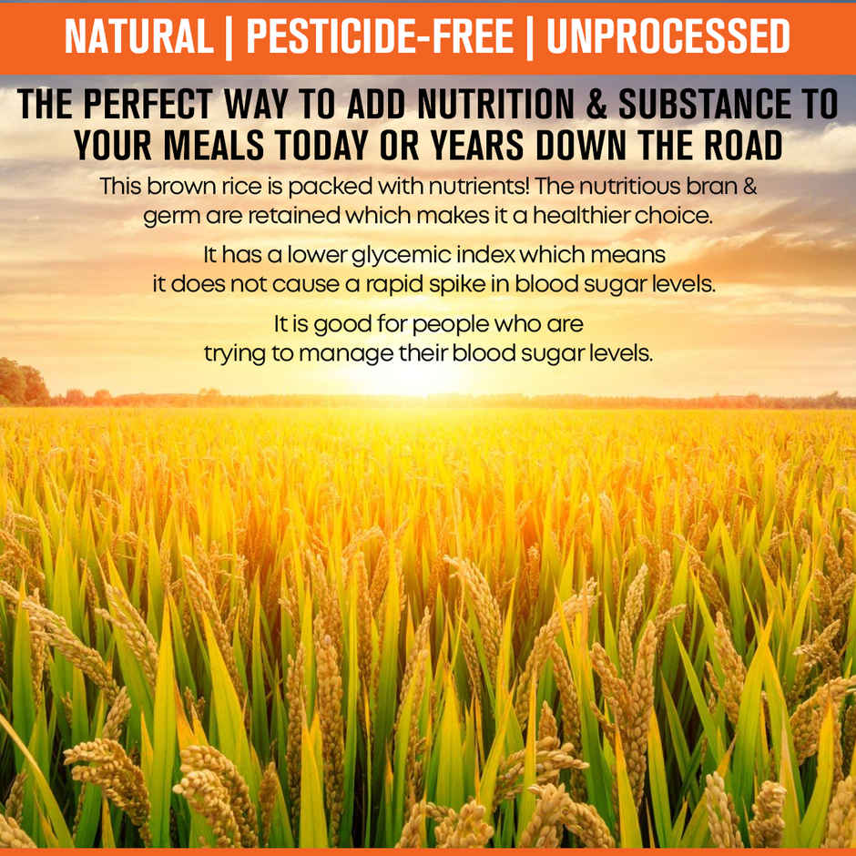 Safe Harvest Pesticide Free Sonamasuri Unpolished Brown Rice | Arsenic Free
