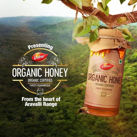Dabur Raw Organic Honey - 100% Pure and Natural, No Sugar Adulteration