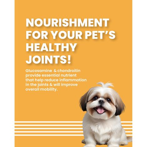 Bark Out Loud Salmon & Turkey Fish Dog Food | Small & Mini Breed | Naturally Hypoallergenic