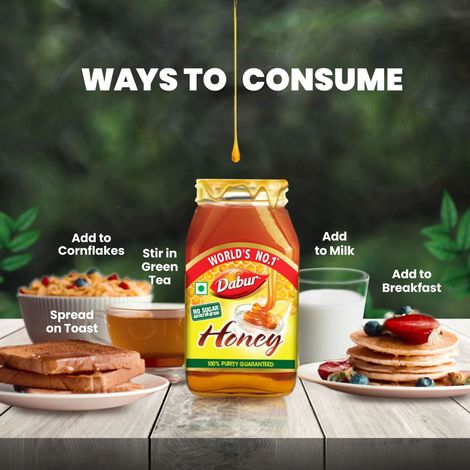 Dabur Honey - 100% Pure, World's No.1 Honey Brand (No Sugar Adulteration)
